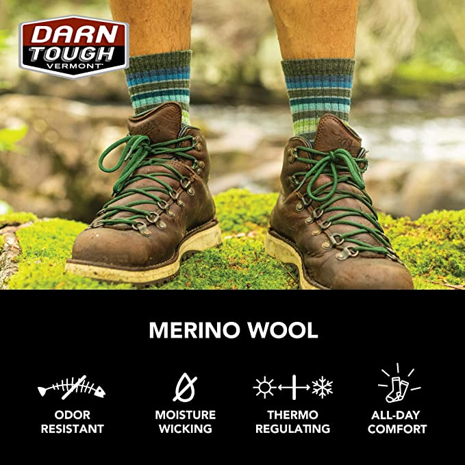 Darn Tough (1924) Heady Stripe Hike/Trek Men's Sock