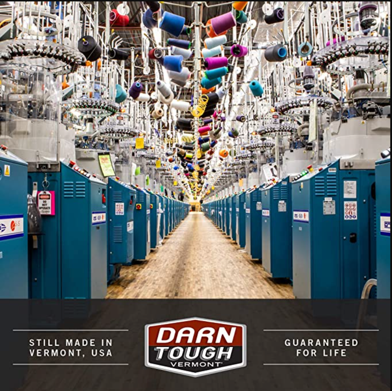 Darn Tough (1970) Bear Town Micro Crew Light Cushion Women's Sock