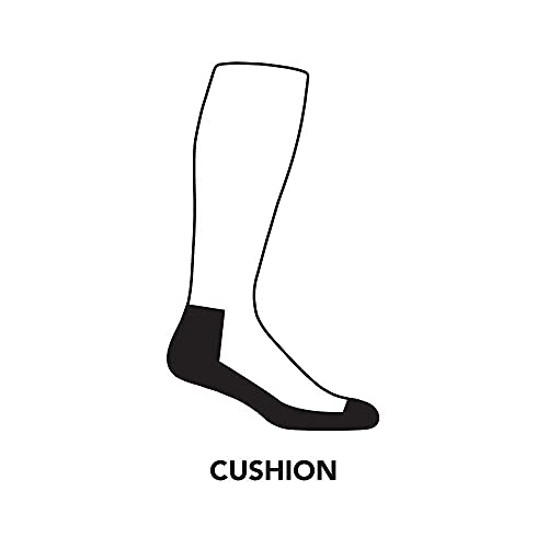 Darn Tough (1818) Captain Stripe Snow Men's Sock