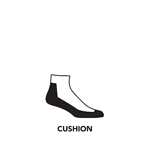 Darn Tough (1040) Run 1/4 Ultra-Lightweight with Cushion Men's Sock
