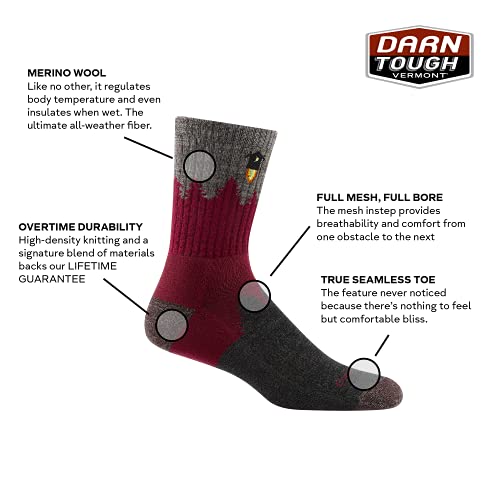 Darn Tough (1974) Number 2 Micro Crew Midweight with Cushion Men's Sock