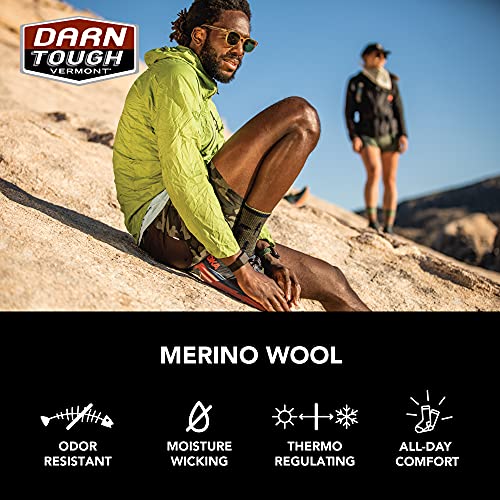 Darn Tough (5004) Ranger Micro Crew Midweight Men's Sock with Cushion