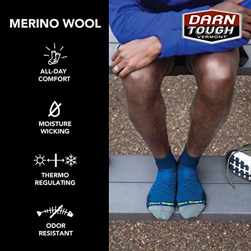 Darn Tough (1040) Run 1/4 Ultra-Lightweight with Cushion Men's Sock
