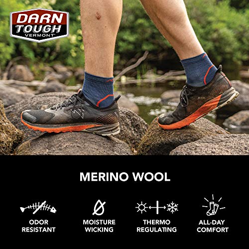 Darn Tough (1991) Light Hiker 1/4 Lightweight with Cushion Men's Sock