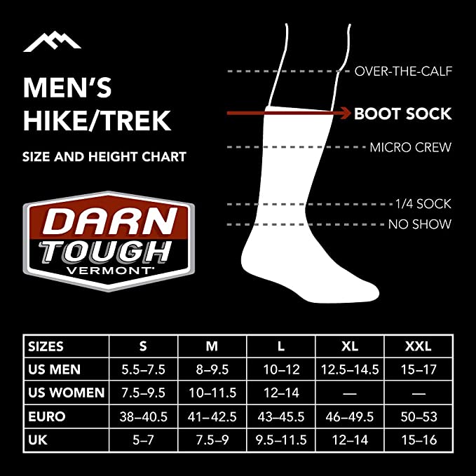 Darn Tough (1466) Hiker Micro Crew Midweight with Cushion Men's Sock